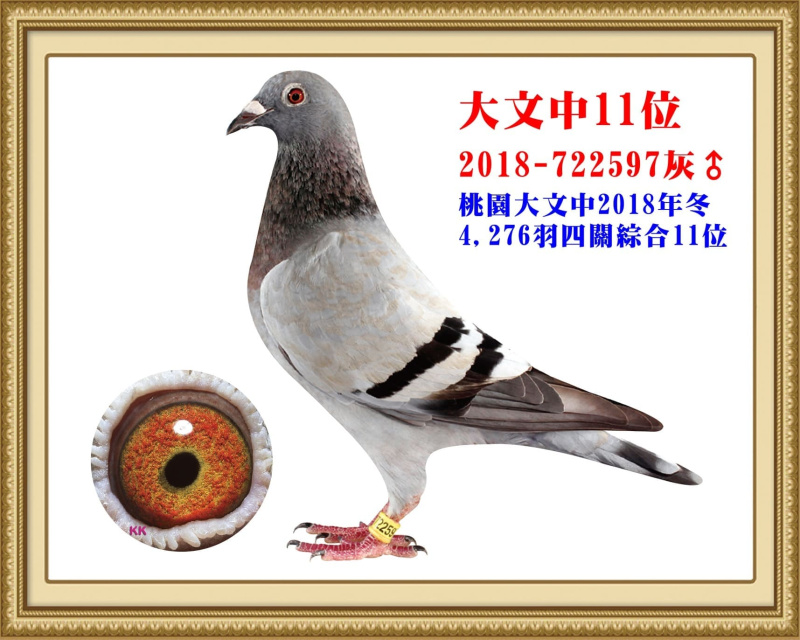 大文中11位 2018-722597灰公