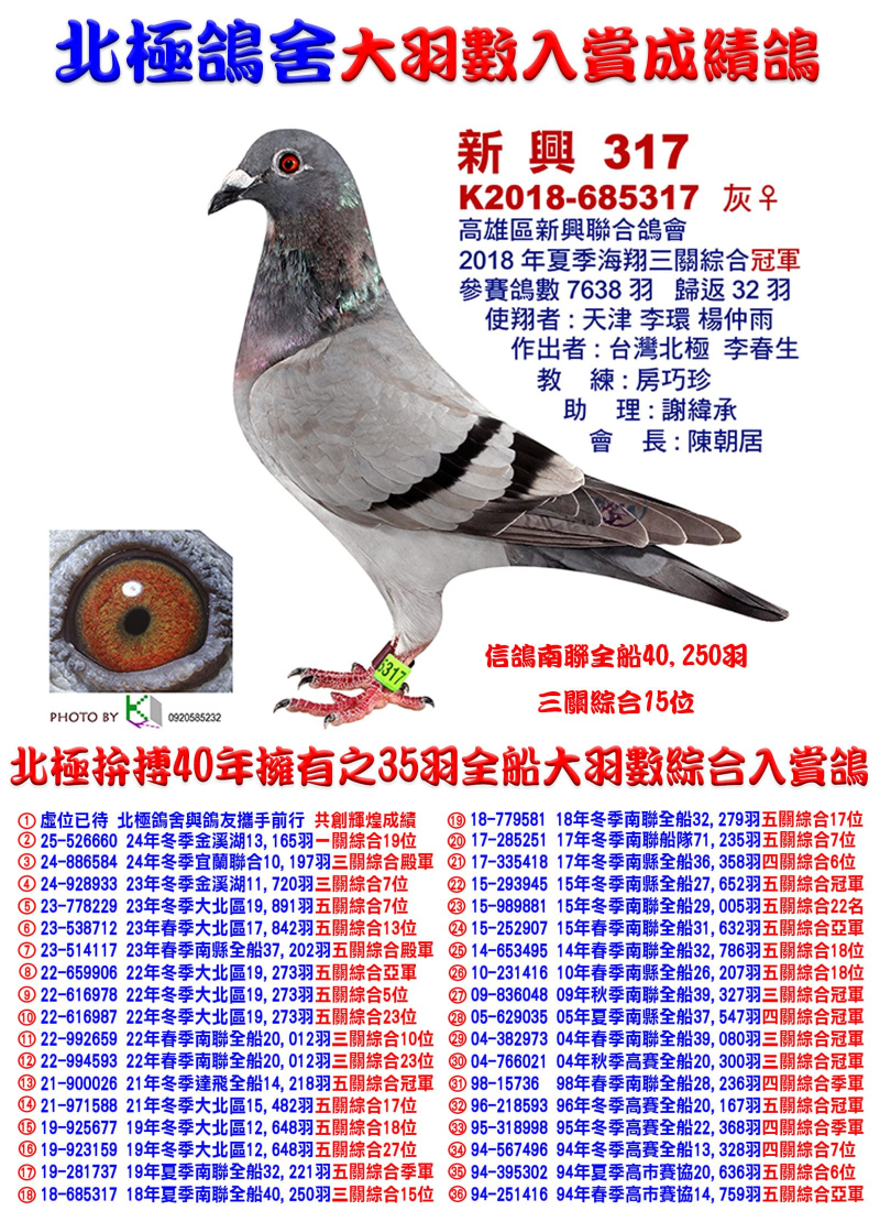 全船40,250羽三關綜合15位 2018-685317 灰母