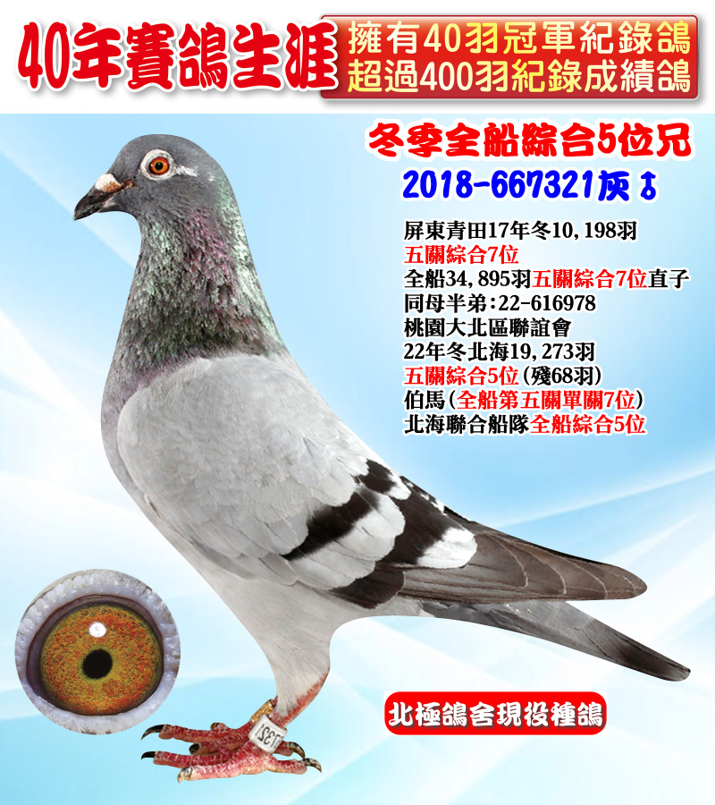 冬季全船綜合5位兄 2018-667321灰♂