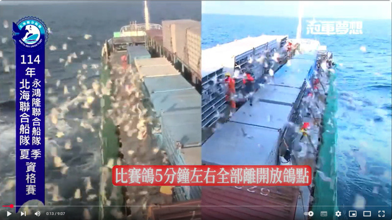 2025年北海夏季競翔【資格一】08/03(日)北海聯合船隊+永鴻隆船隊