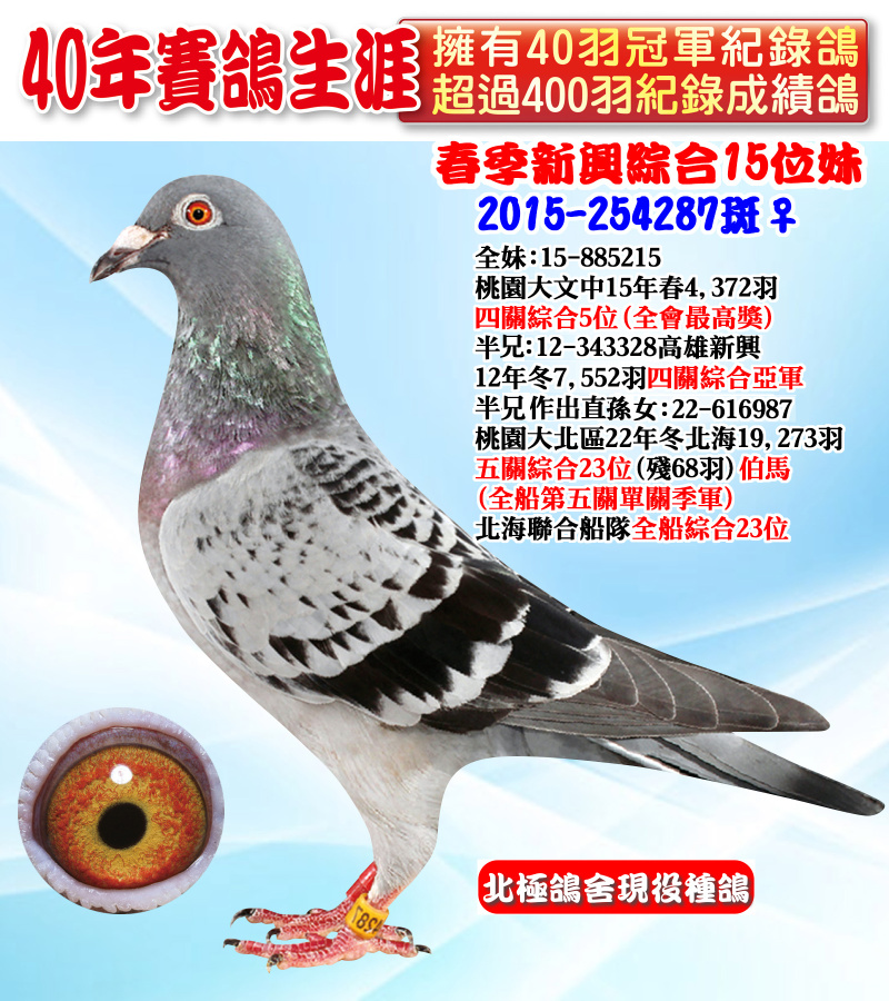 春季新興綜合15位妹 2015-254287斑♀