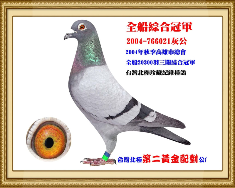 全船綜合冠軍 2004-766021灰公