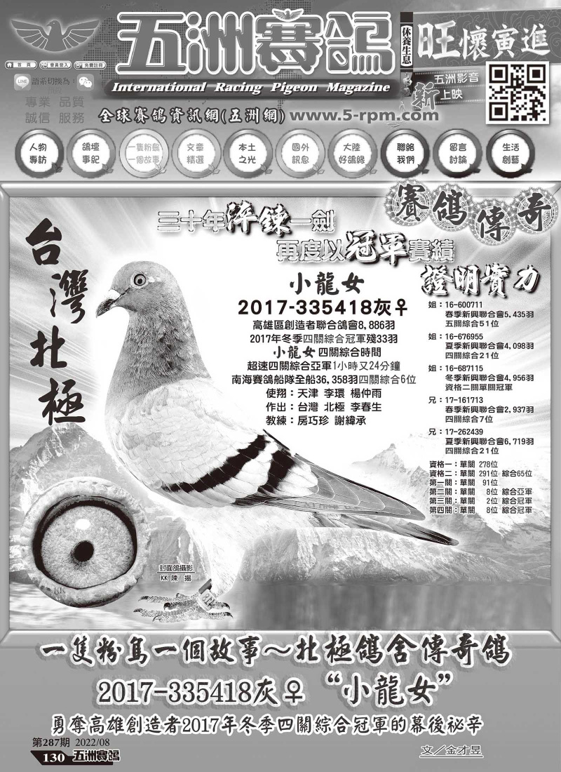 經典銘鴿“小龍女”-五洲賽鴿287期專訪