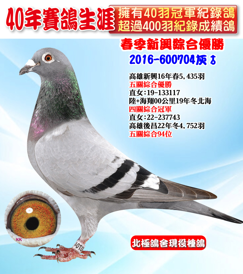 春季新興綜合優勝 2016-600704灰♂