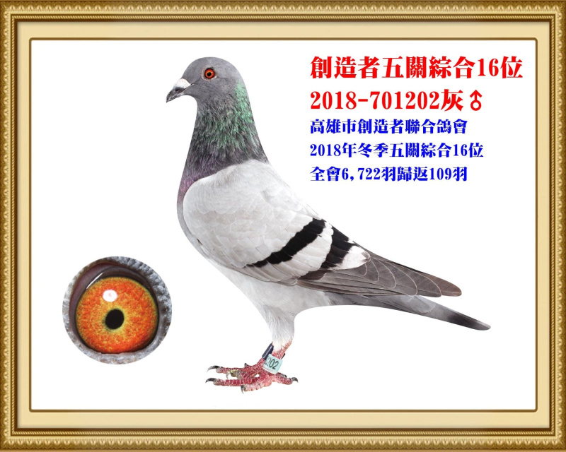 創造者五關綜合16位 2018-701202灰公