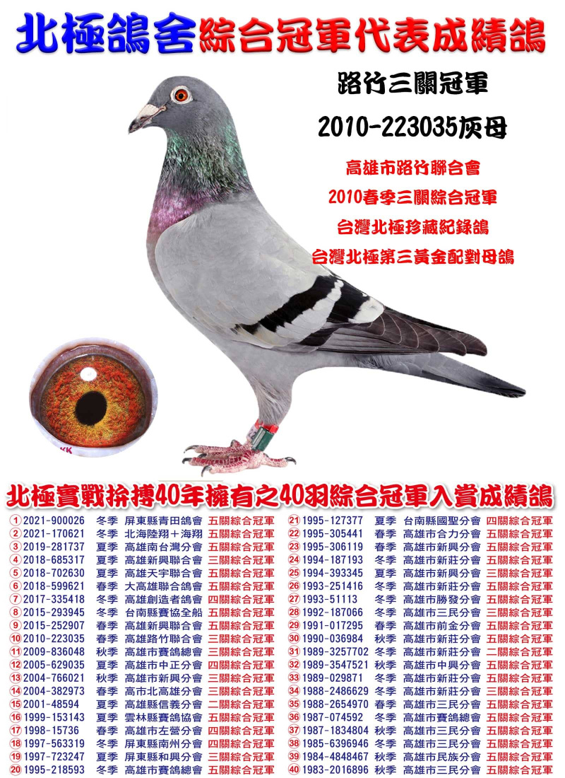 路竹三關冠軍 2010-223035灰母