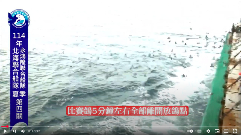 2025年北海夏季競翔【第四關】08/20(三)北海聯合船隊+永鴻隆船隊