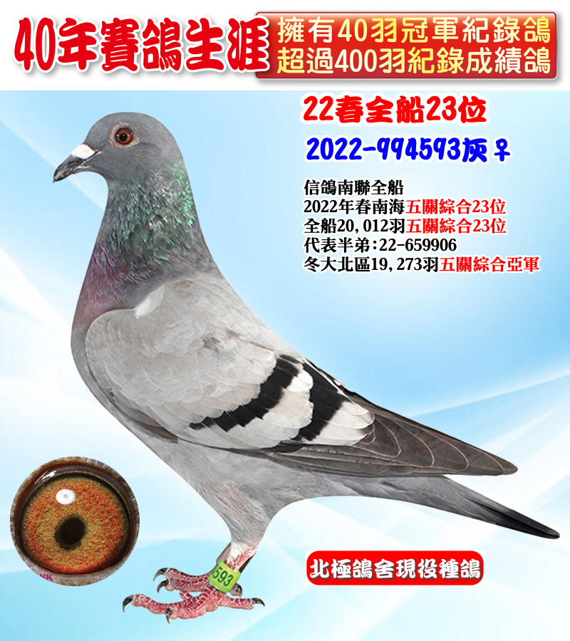 22春全船23位 2022-994593灰♀