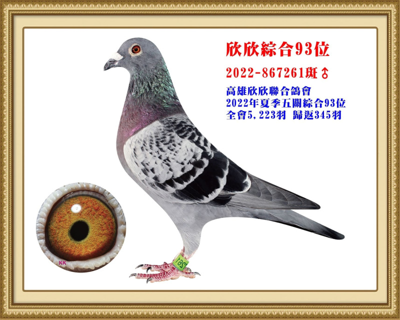 欣欣綜合93位 2022-867261斑公