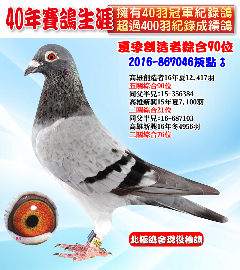 夏季創造者綜合90位 2016-867046灰點♂