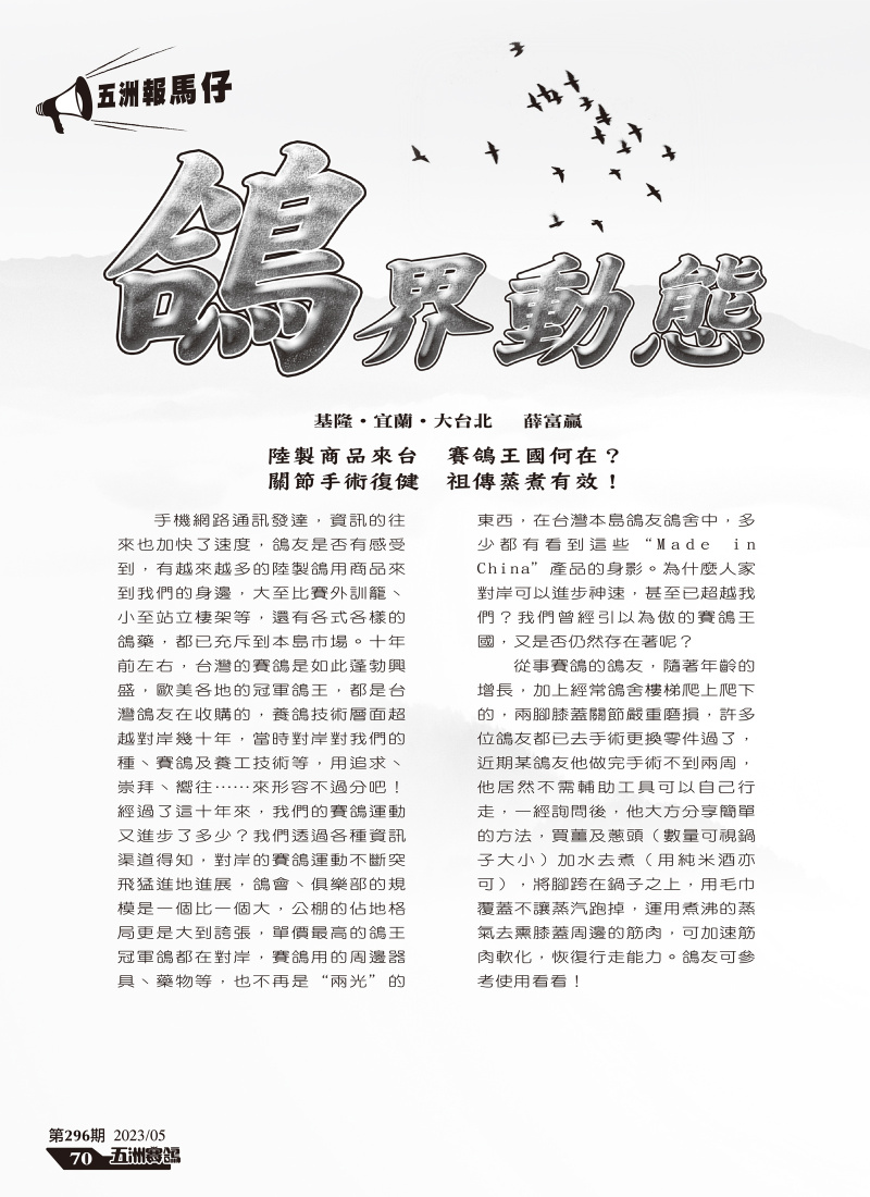 五洲報馬仔鴿界動態-五洲296期[本網站發佈:五洲賽鴿雜誌之圖文.皆經五洲李社長授權同意使用]