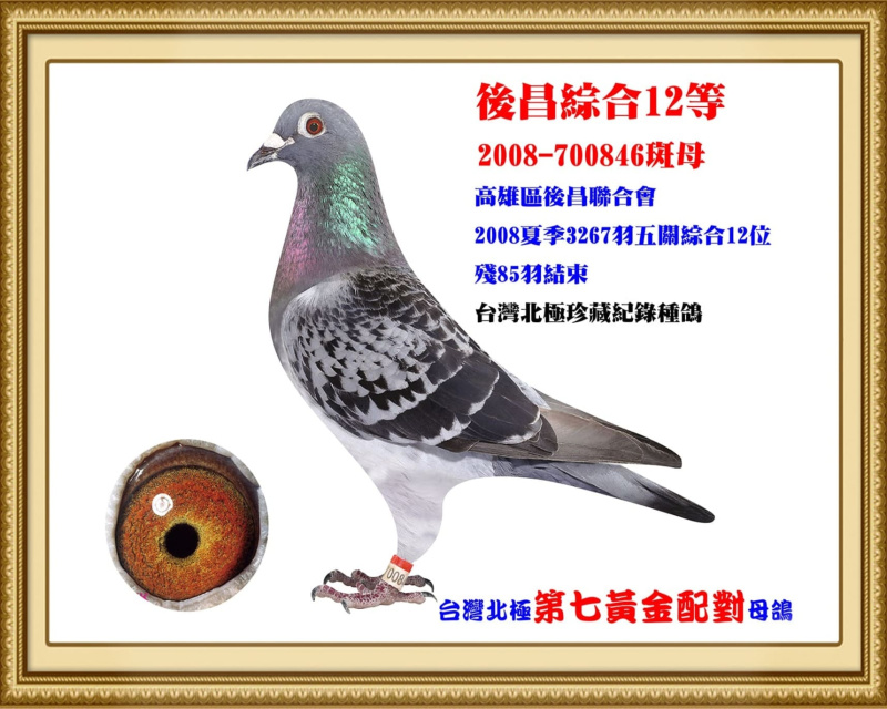 後昌綜合12等 2008-700846斑母