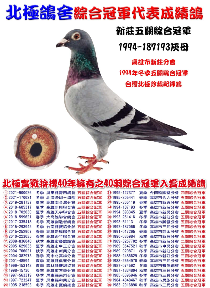 新莊五關綜合冠軍 1994-187193灰母