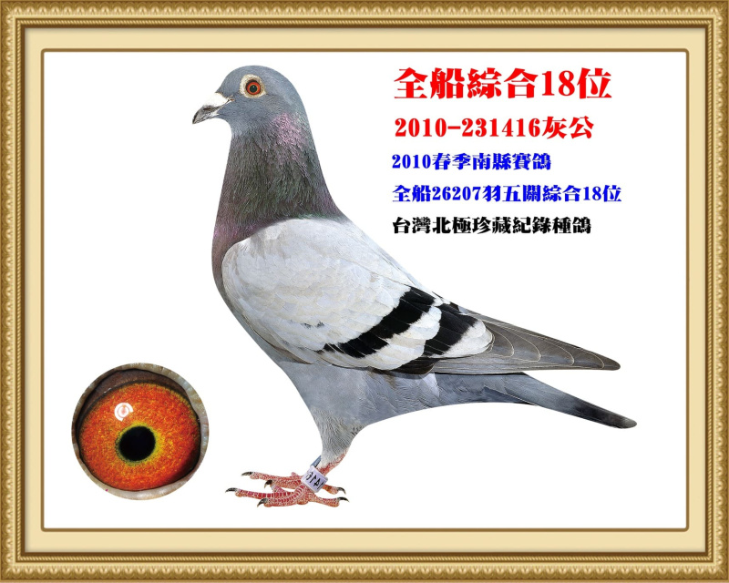 全船綜合18位 2010-231416灰公