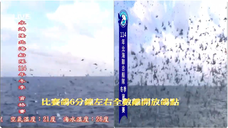 2025年北海冬季競翔【資格關】【中海正一關】11/23(日)