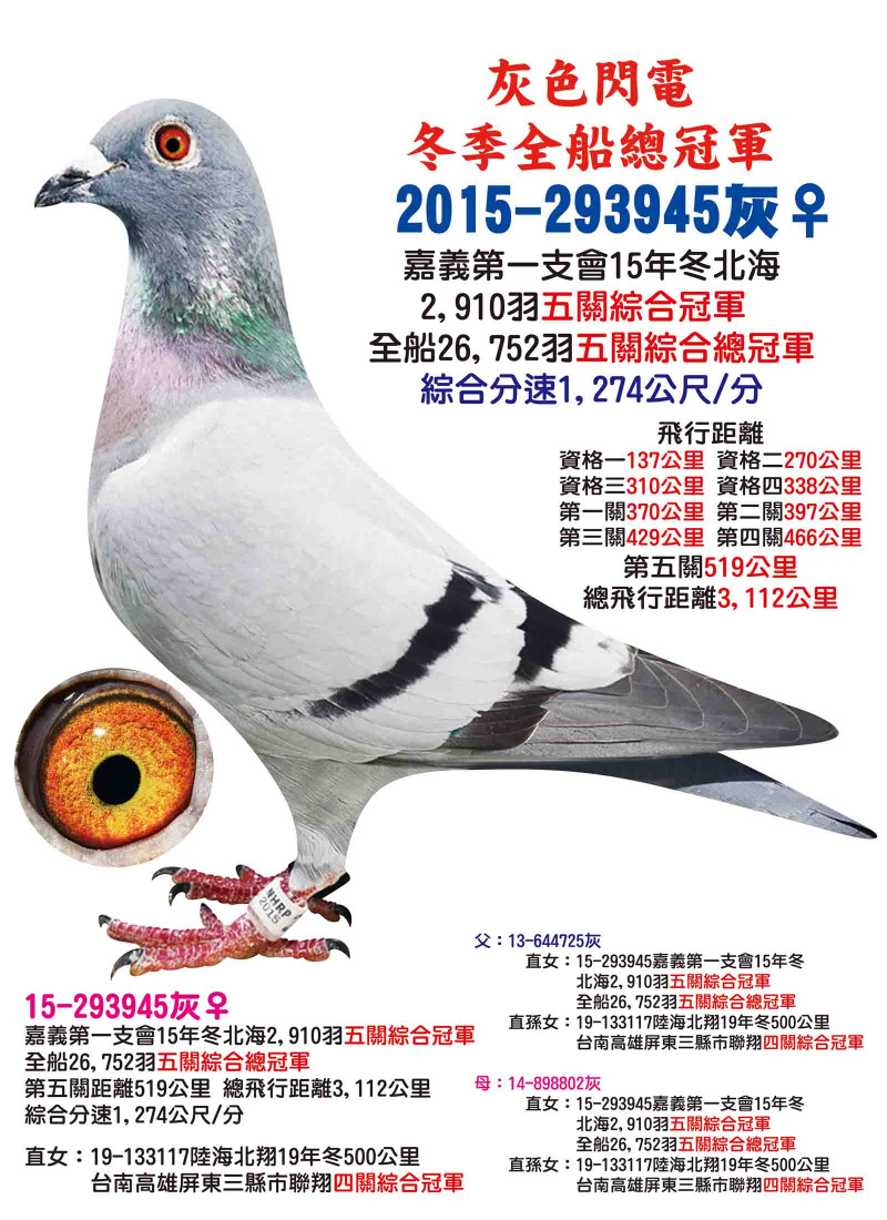 2015-293945灰母 冬季全船總冠軍