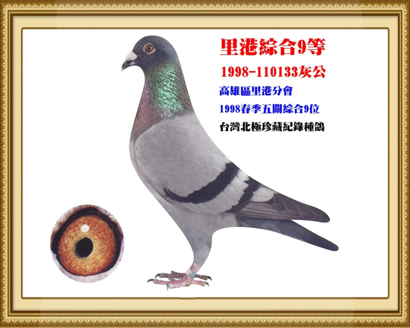 里港綜合9等 1998-110133灰公