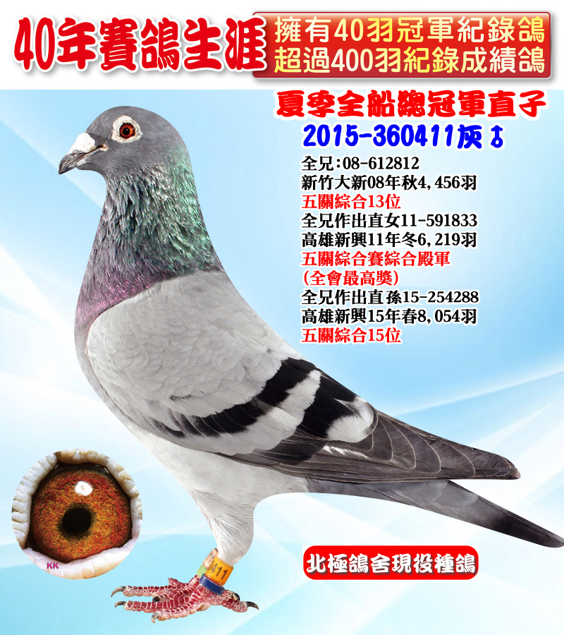 夏季全船總冠軍直子 2015-360411灰♂
