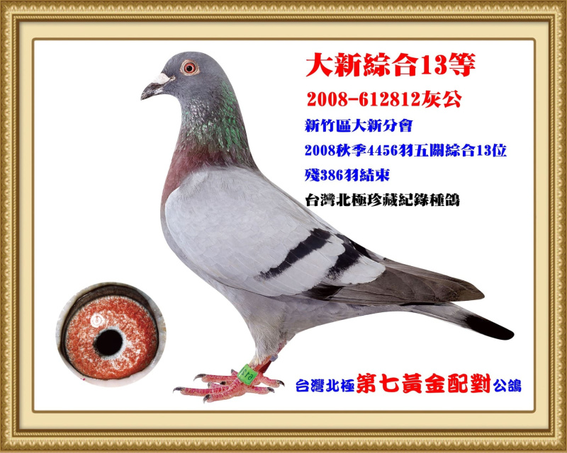 大新綜合13等 2008-612812灰公