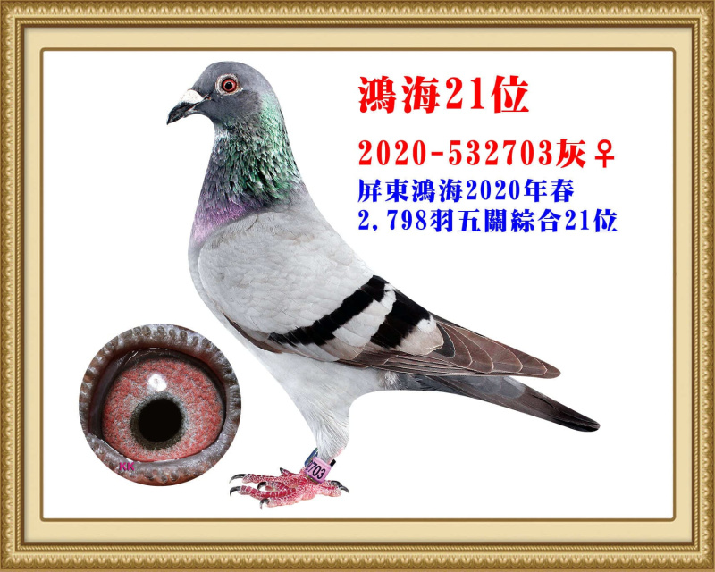 鴻海21位 2020-532703灰母