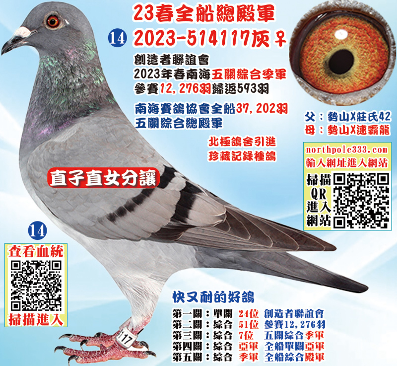 23春全船總殿軍 2023-514117