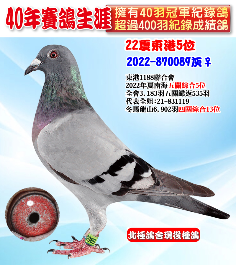 22夏東港5位 2022-870089灰♀