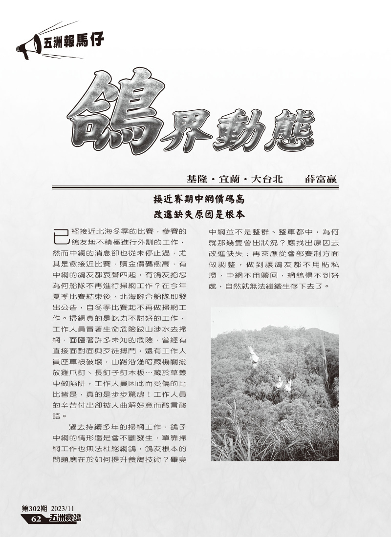 知己知彼,百戰不殆[本網站發佈:五洲賽鴿雜誌之圖文.皆經五洲李社長授權同意使用]