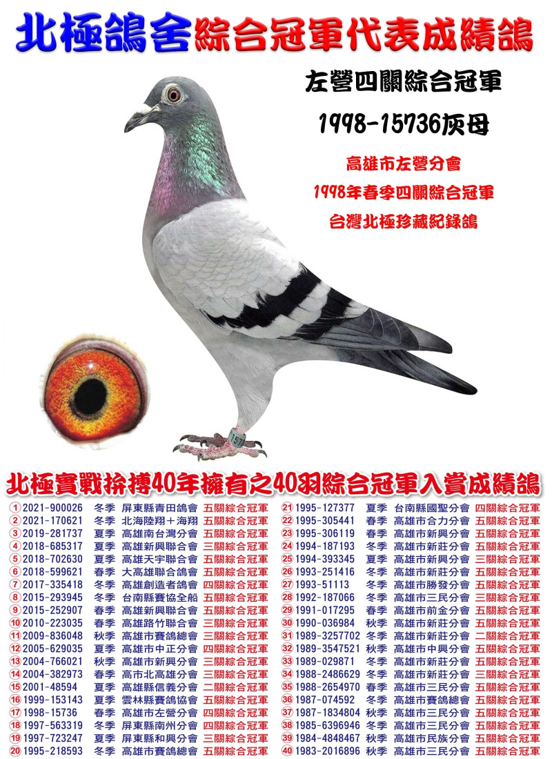 左營四關綜合冠軍 1998-15736灰母