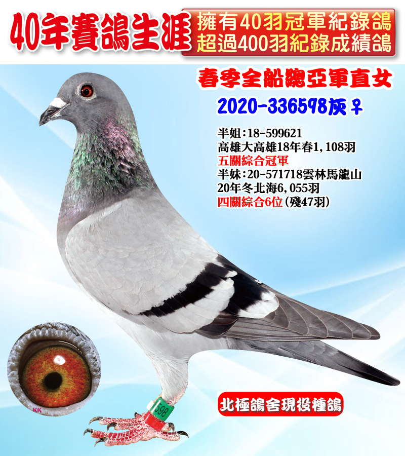 春季全船總亞軍直女 2020-336598灰♀
