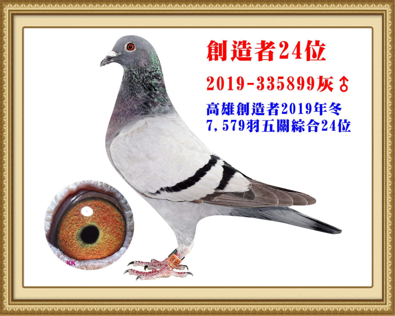 創造者24位 2019-335899灰公