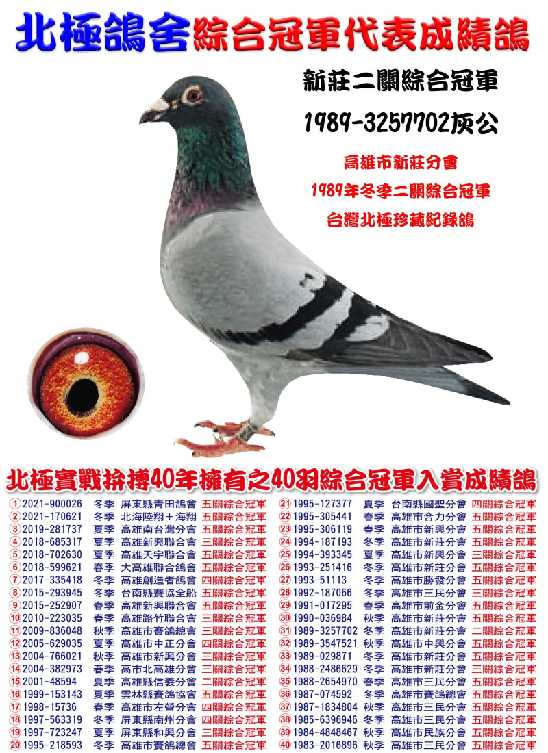 新莊二關綜合冠軍 1989-3257702灰公