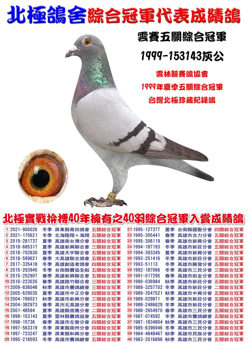 雲賽五關綜合冠軍 1999-153143灰公