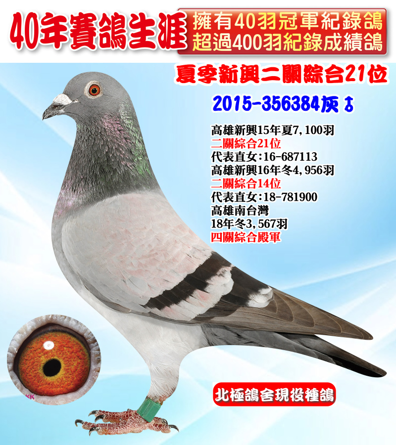 夏季新興二關綜合21位 2015-356384灰♂