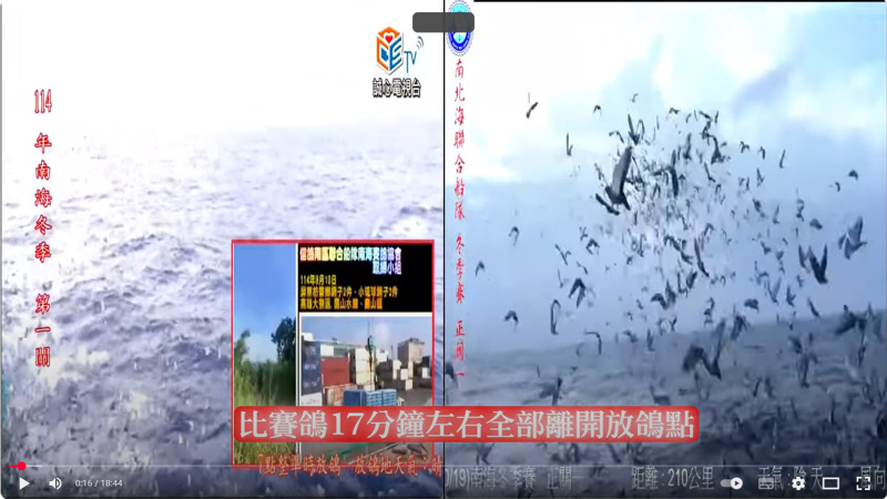 [南海冬季競翔]2025年10/19(日) 第一關