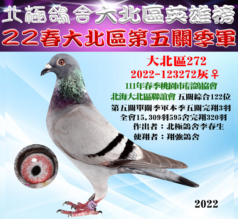 大北區英雄榜-22春大北區第五關季軍[2022-123272灰♀]
