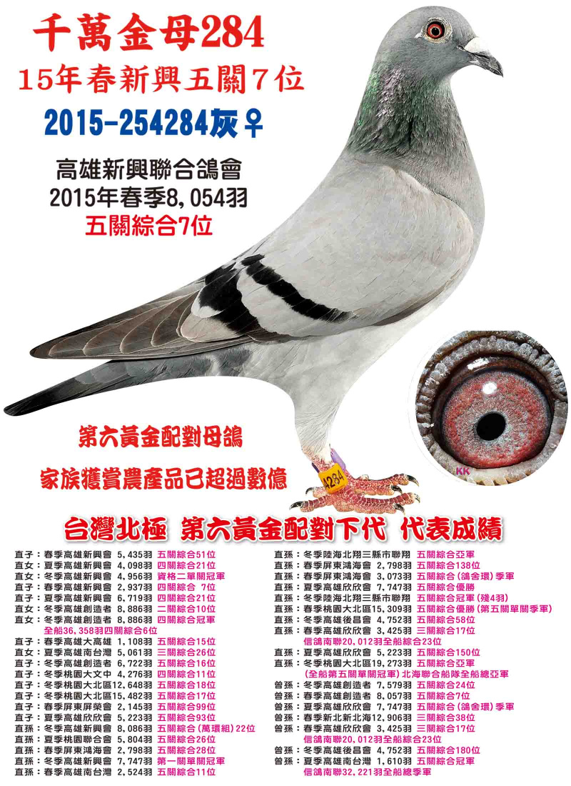 2015-254284灰母 千萬金母284