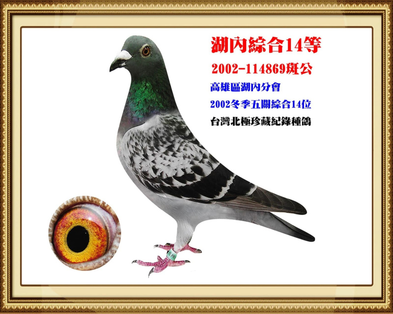 湖內綜合14等 2002-114869斑公