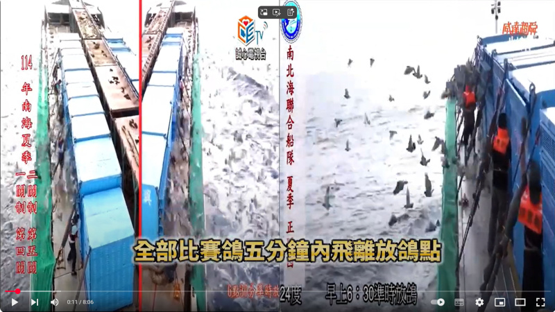 2025年南海夏季競翔【第四關】07/13(日)