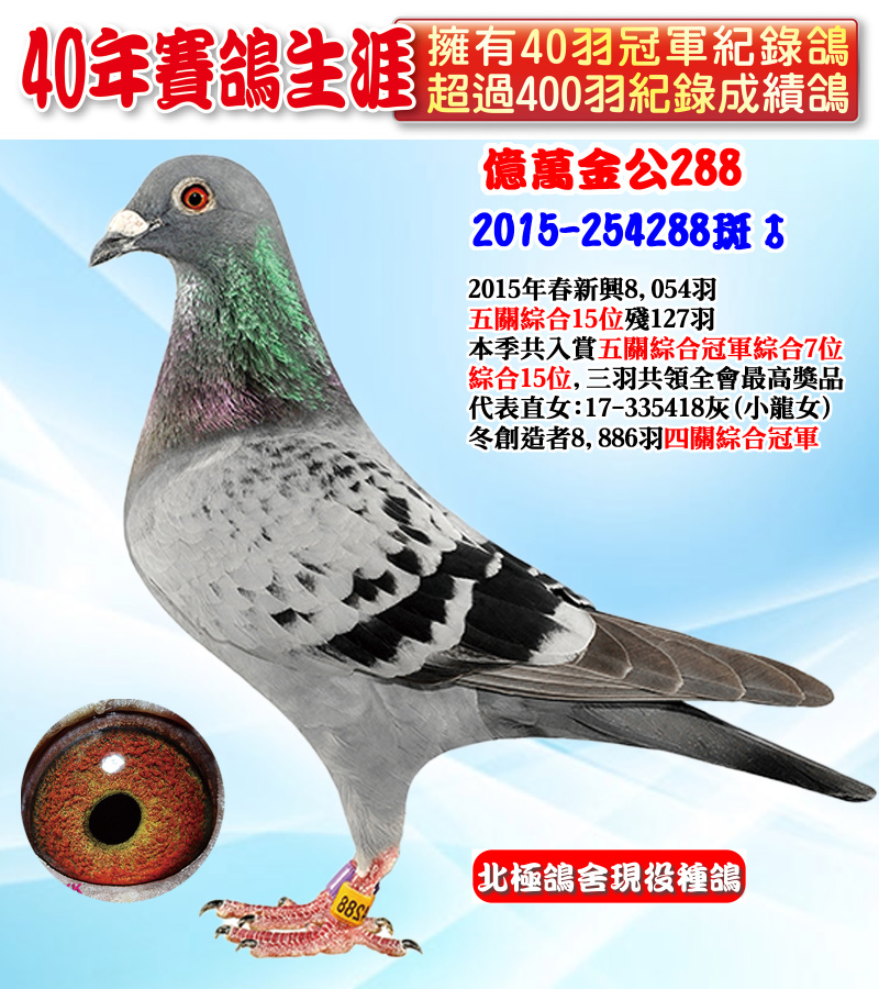 億萬金公288 2015-254288斑♂