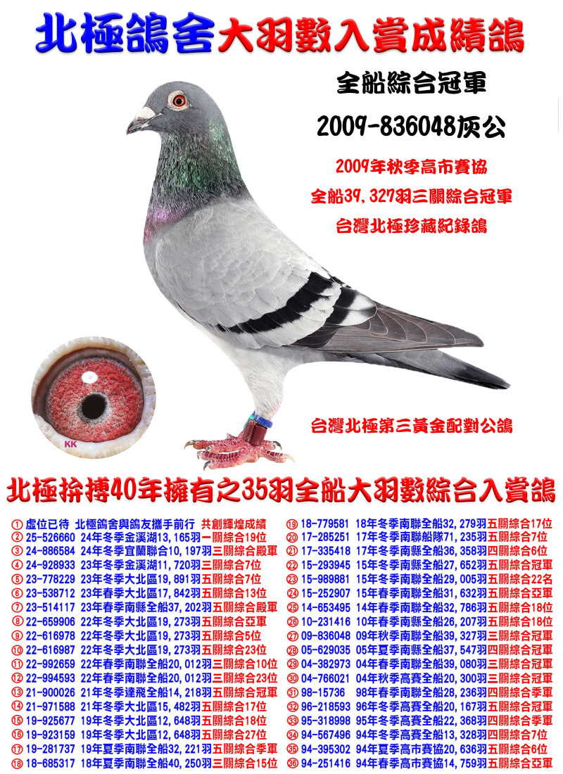 全船39,327羽三關綜合冠軍 2009-836048灰公