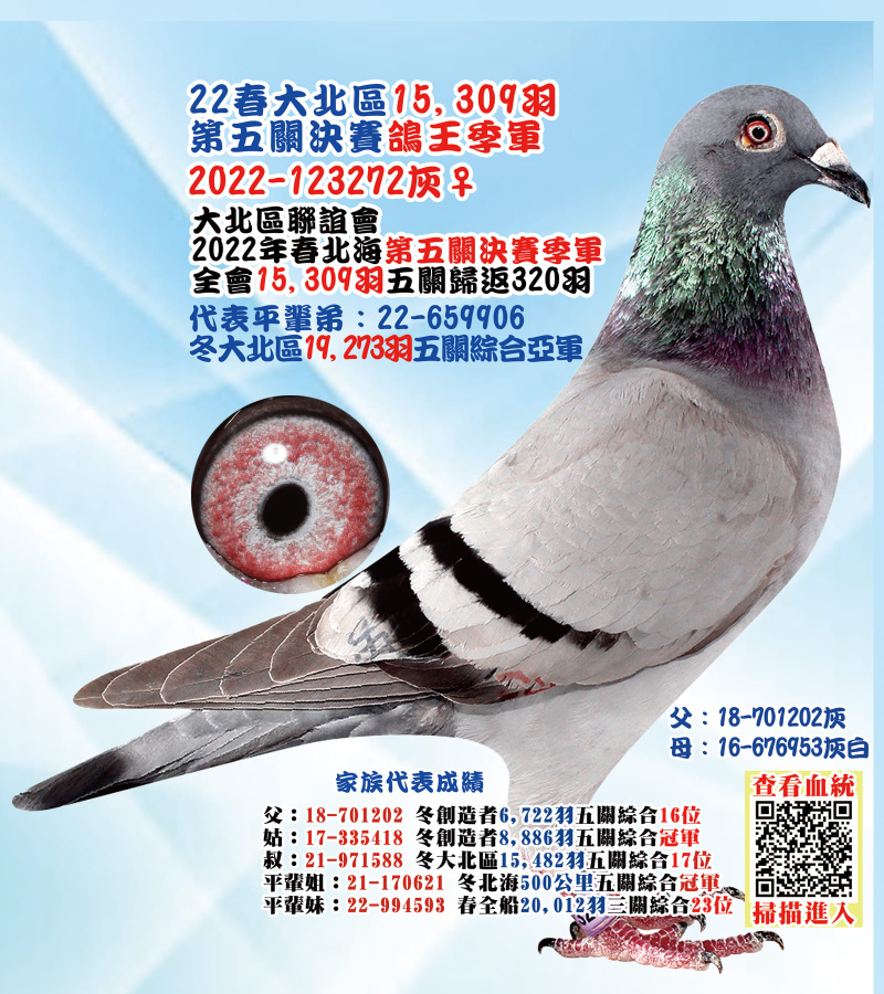 22春大北區15,309羽第五關決賽鴿王季軍