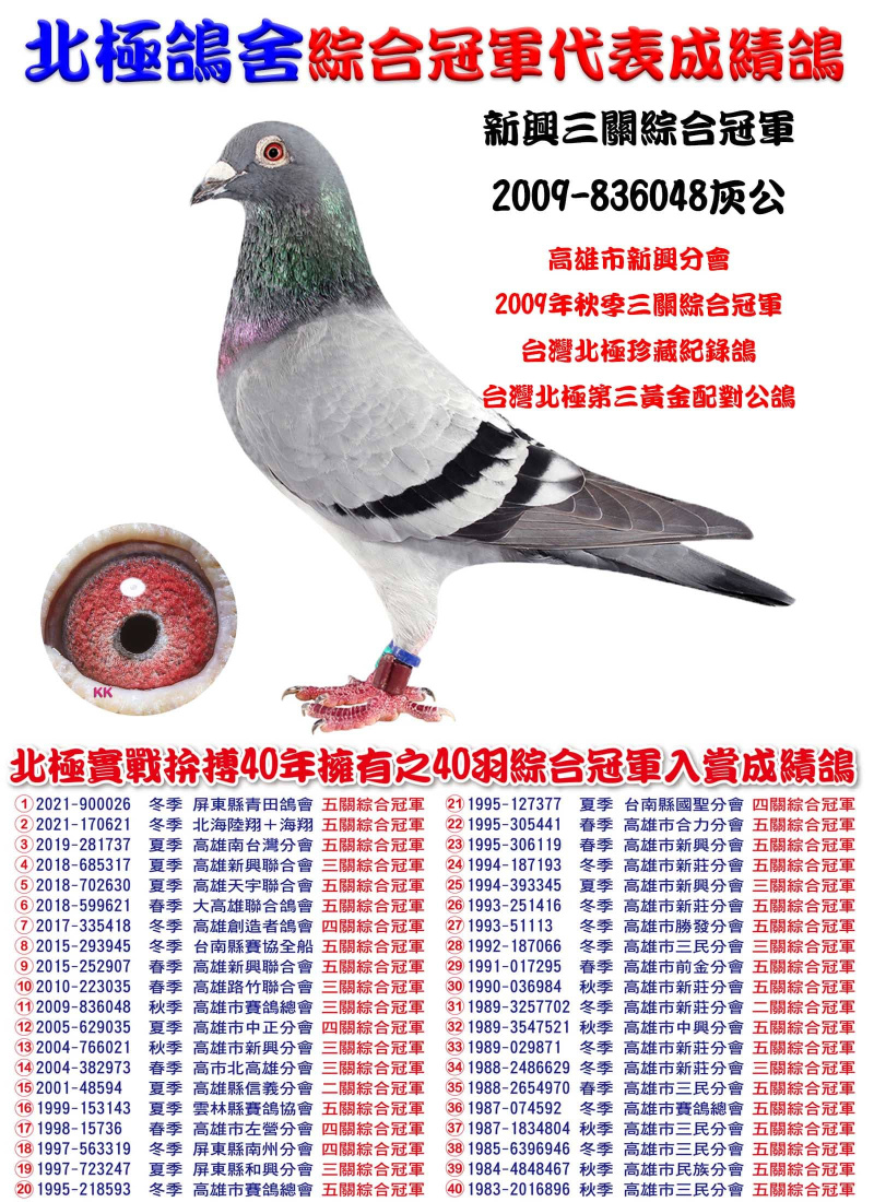 新興三關綜合冠軍 2009-836048灰公