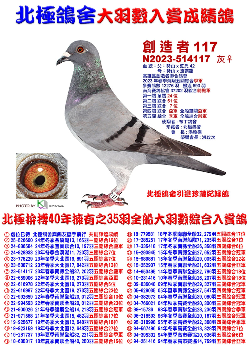 全船37,202羽綜合總殿軍 2023-514117 灰母