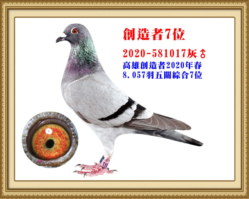 創造者7位 2020-581017灰公