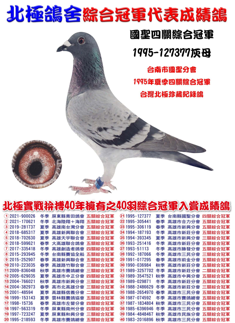 國聖四關綜合冠軍 1995-127377灰母