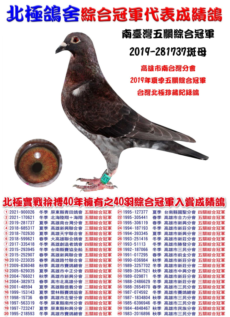 南臺灣五關綜合冠軍 2019-281737斑母