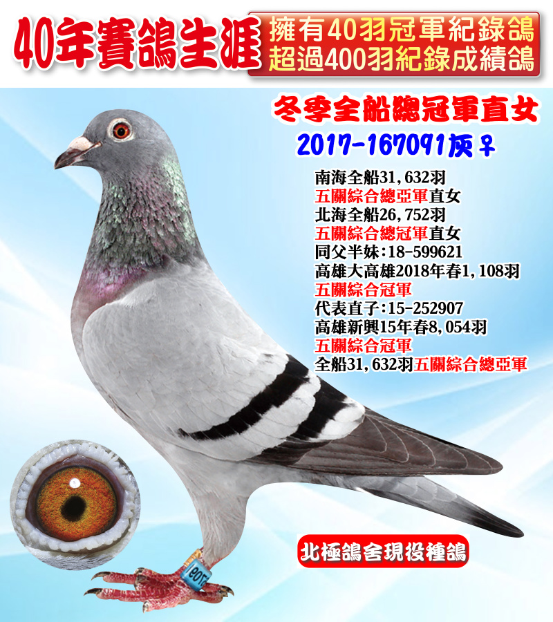 冬季全船總冠軍直女 2017-167091灰♀