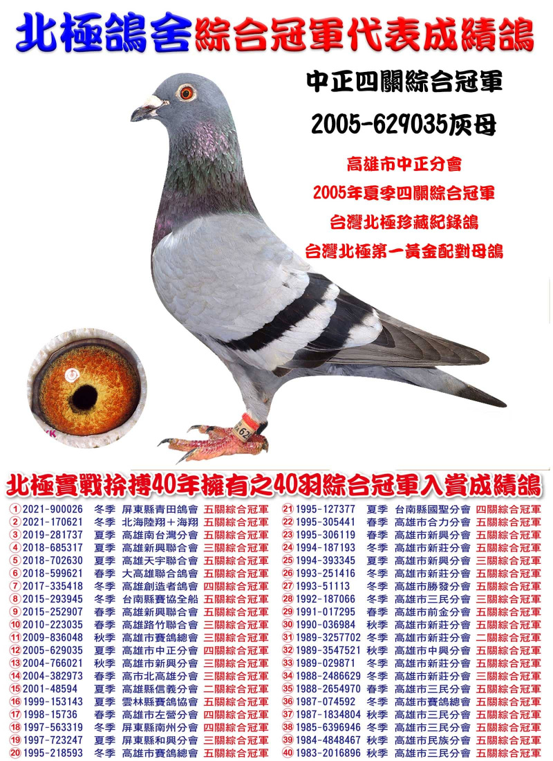 中正四關綜合冠軍 2005-629035灰母