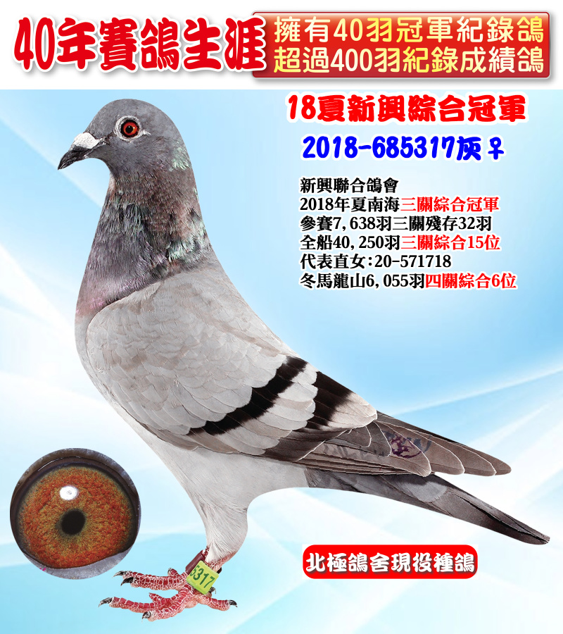 18夏新興綜合冠軍 2018-685317灰♀