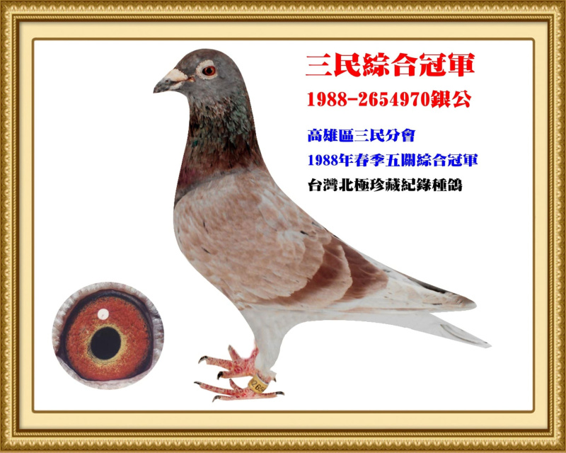 三民綜合冠軍 1988-2654970銀公
